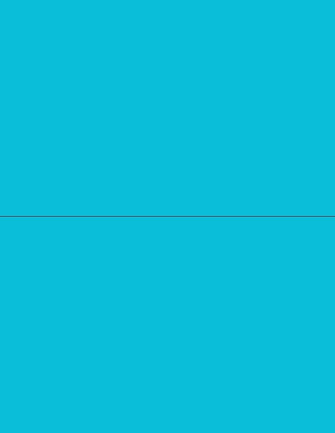 NextDayLabels - 8-1/2 x 11 Neon Color High Light Fluorescent Labels for Laser & Inkjet Printer (Blue Fluorescent, 8-1/2" x 5-1/2" - 2 Per Page | 50 Labels)