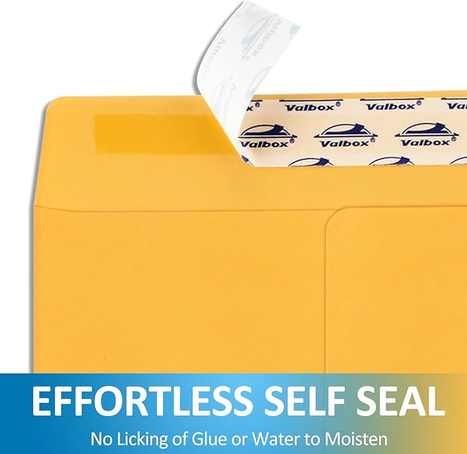 ValBox 9x12 Self Seal Security Catalog Envelopes 250 Packs Brown Kraft Envelopes with Peel and Seal Flap for Mailing, Organizing and Storage