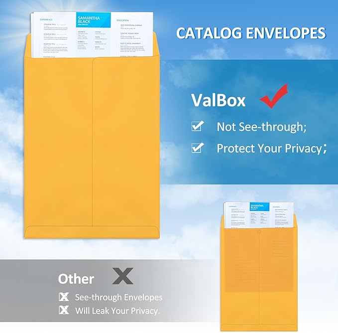 ValBox 9x12 Self Seal Security Catalog Envelopes 250 Packs Brown Kraft Envelopes with Peel and Seal Flap for Mailing, Organizing and Storage